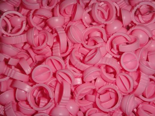 Glue rings with divider Pink 100 Pieces
